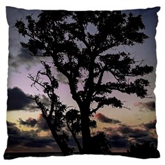 Sunset Coastal Park Landscape, Montevideo Uruguay Large Cushion Case (two Sides) by dflcprintsclothing