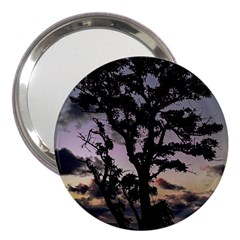 Sunset Coastal Park Landscape, Montevideo Uruguay 3  Handbag Mirrors by dflcprintsclothing