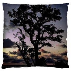 Sunset Coastal Park Landscape, Montevideo Uruguay Large Flano Cushion Case (one Side)