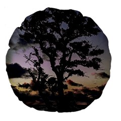 Sunset Coastal Park Landscape, Montevideo Uruguay Large 18  Premium Flano Round Cushions by dflcprintsclothing