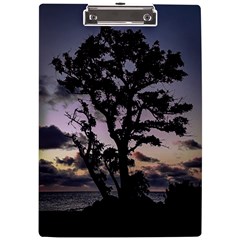 Sunset Coastal Park Landscape, Montevideo Uruguay A4 Clipboard by dflcprintsclothing