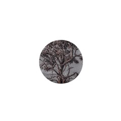 Big Tree Photo Illustration 1  Mini Magnets by dflcprintsclothing