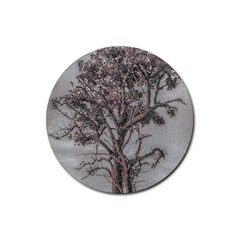 Big Tree Photo Illustration Rubber Coaster (round)