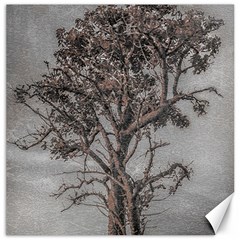 Big Tree Photo Illustration Canvas 16  X 16  by dflcprintsclothing