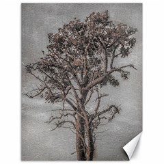 Big Tree Photo Illustration Canvas 18  X 24  by dflcprintsclothing