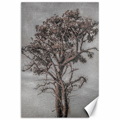 Big Tree Photo Illustration Canvas 24  X 36 