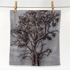 Big Tree Photo Illustration Face Towel