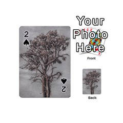 Big Tree Photo Illustration Playing Cards 54 Designs (mini)