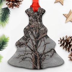 Big Tree Photo Illustration Christmas Tree Ornament (two Sides) by dflcprintsclothing