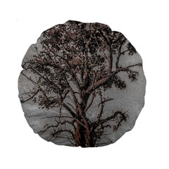 Big Tree Photo Illustration Standard 15  Premium Round Cushions by dflcprintsclothing