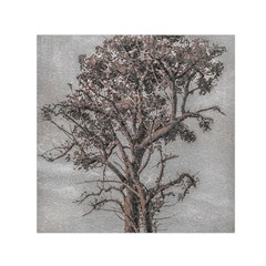 Big Tree Photo Illustration Small Satin Scarf (square)