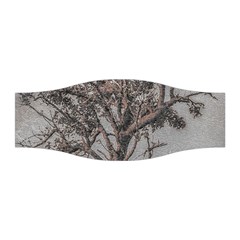 Big Tree Photo Illustration Stretchable Headband