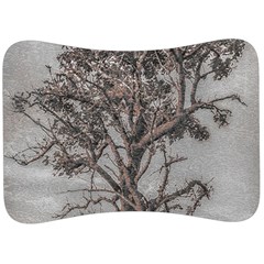 Big Tree Photo Illustration Velour Seat Head Rest Cushion