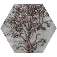 Big Tree Photo Illustration Wooden Puzzle Hexagon by dflcprintsclothing