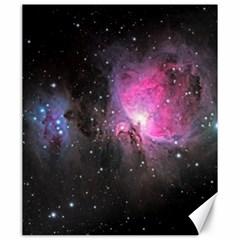 M42 Canvas 20  X 24 