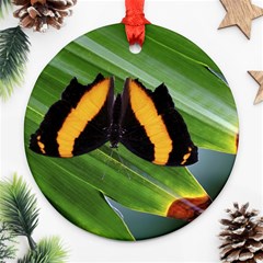 Butterfly  Ornament (round) by DimitriosArt