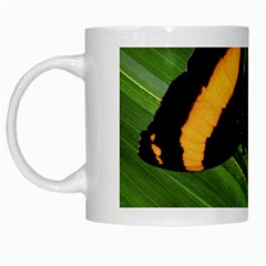 Butterfly  White Mugs by DimitriosArt