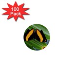 Butterfly  1  Mini Buttons (100 pack)  Front