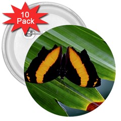 Butterfly  3  Buttons (10 Pack)  by DimitriosArt