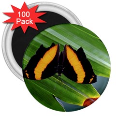 Butterfly  3  Magnets (100 Pack) by DimitriosArt