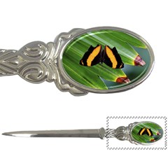 Butterfly  Letter Opener by DimitriosArt