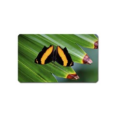 Butterfly  Magnet (name Card) by DimitriosArt