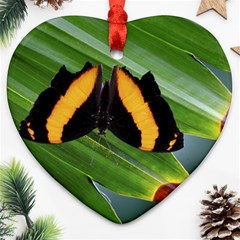 Butterfly  Heart Ornament (two Sides) by DimitriosArt