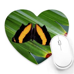 Butterfly  Heart Mousepads by DimitriosArt