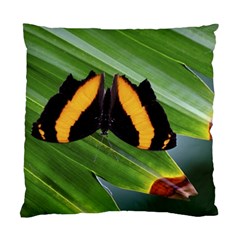 Butterfly  Standard Cushion Case (one Side) by DimitriosArt