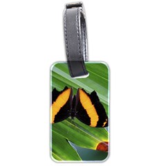 Butterfly  Luggage Tag (two Sides) by DimitriosArt