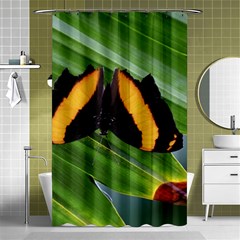 Butterfly  Shower Curtain 48  X 72  (small)  by DimitriosArt