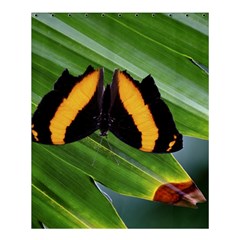 Butterfly  Shower Curtain 60  X 72  (medium)  by DimitriosArt