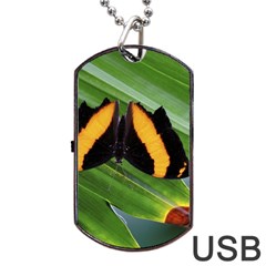 Butterfly  Dog Tag Usb Flash (one Side) by DimitriosArt