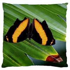 Butterfly  Large Cushion Case (two Sides) by DimitriosArt