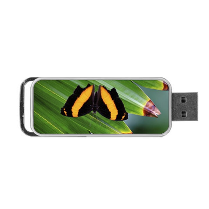 Butterfly  Portable USB Flash (Two Sides)