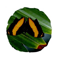 Butterfly  Standard 15  Premium Round Cushions by DimitriosArt