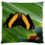 Butterfly  Standard Flano Cushion Case (One Side) Front