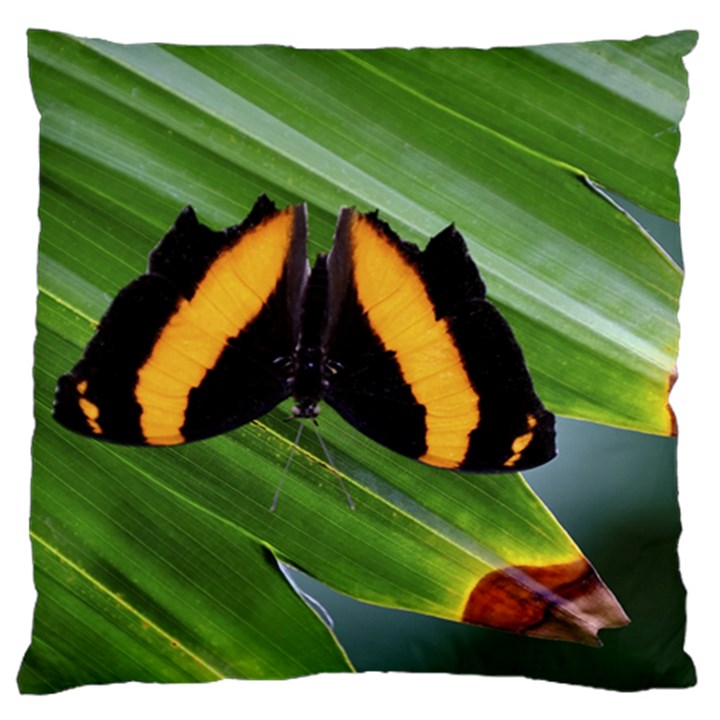 Butterfly  Standard Flano Cushion Case (One Side)