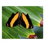 Butterfly  Double Sided Flano Blanket (Large)  80 x60  Blanket Front