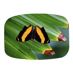 Butterfly  Mini Square Pill Box by DimitriosArt