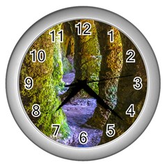 Grutas Del Palacio, Flores, Uruguay Wall Clock (silver) by dflcprintsclothing