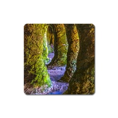 Grutas Del Palacio, Flores, Uruguay Square Magnet by dflcprintsclothing