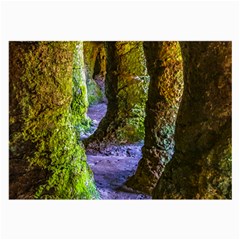 Grutas Del Palacio, Flores, Uruguay Large Glasses Cloth (2 Sides) by dflcprintsclothing