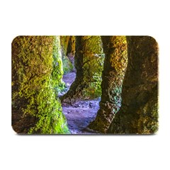 Grutas Del Palacio, Flores, Uruguay Plate Mats by dflcprintsclothing