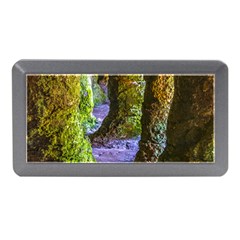 Grutas Del Palacio, Flores, Uruguay Memory Card Reader (mini) by dflcprintsclothing