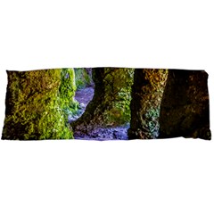 Grutas Del Palacio, Flores, Uruguay Body Pillow Case Dakimakura (two Sides) by dflcprintsclothing