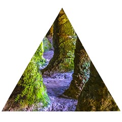 Grutas Del Palacio, Flores, Uruguay Wooden Puzzle Triangle by dflcprintsclothing