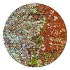 Colorful Abstract Texture Magnet 5  (round) by dflcprintsclothing