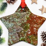 Colorful Abstract Texture Star Ornament (Two Sides) Front