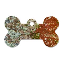 Colorful Abstract Texture Dog Tag Bone (two Sides)